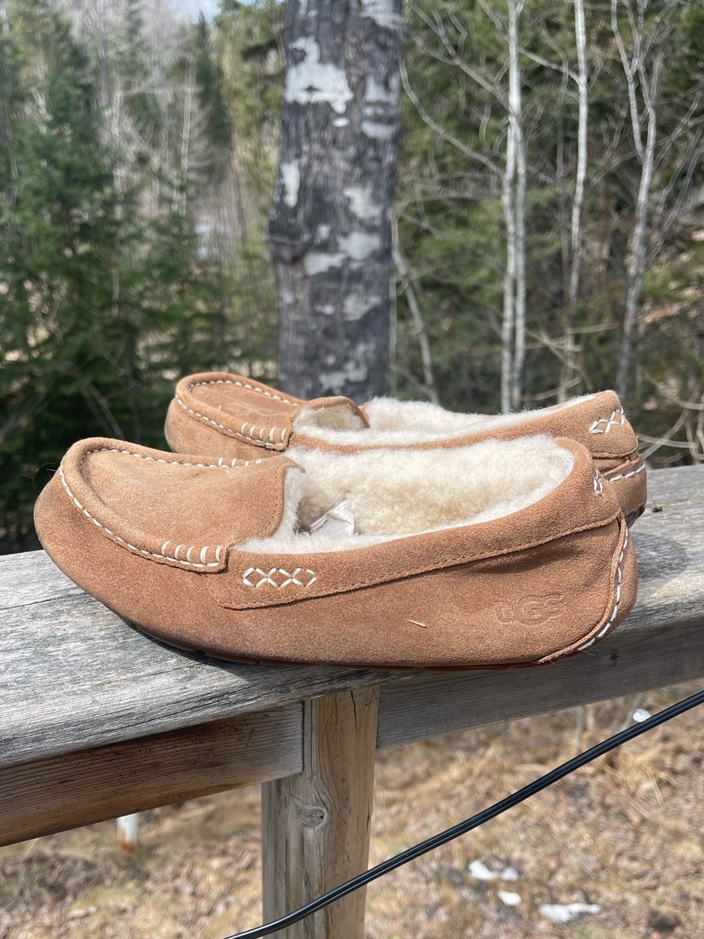 UGG ANSLEY CHESTNUT SHOES - WOMEN'S